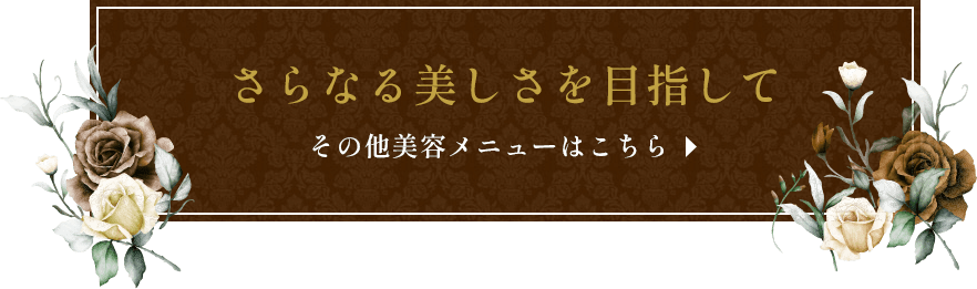 さらなる美しさを目指して その他美容メニューはこちら